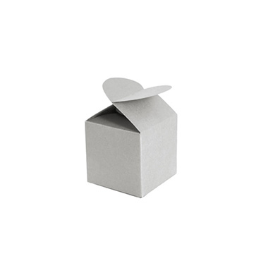 Wedding & Party Favour Boxes - Bomboniere Chocolate Modern Box Silver Pack 20 (45x45x55mmH)