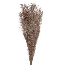 Other Dried & Preserved Flowers - Preserved Dried Sea Lavender Bunch 100g Hazel Brown