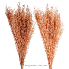 Preserved Dried Sea Lavender Bunch 100g Natural