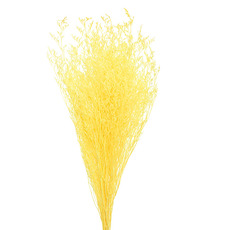 Other Dried & Preserved Flowers - Preserved Dried Sea Lavender Bunch 100g Yellow
