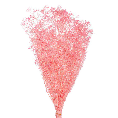 Dried & Preserved Babys Breath - Preserved Dried Babys Breath Bunch 110g Soft Pink