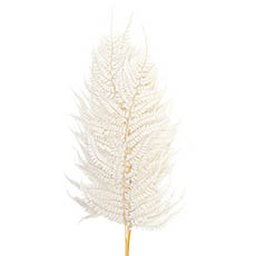 Dried & Preserved Ferns - Preserved Dried Leatherleaf Fern 5 Stems White