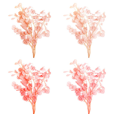 Preserved Dried Apple Leaf Honesty 3 Stems Light Pink