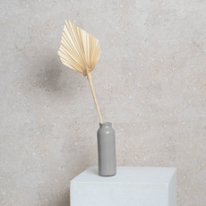 Dried & Preserved Palm Leaves - Preserved Dried Palm Spear Leaf Light Beige (45-50cmH)
