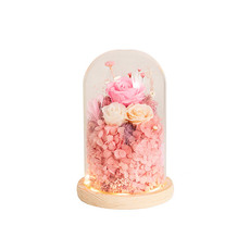 Fresh F&P - 11 - Dried & Preserved Roses - LED Preserved Rose & Hydrangea Cloche Pink (12.3Wx20cmH)