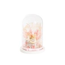 Dried & Preserved Roses - Preserved Assorted Flower Cloche (12Wx20cmH)