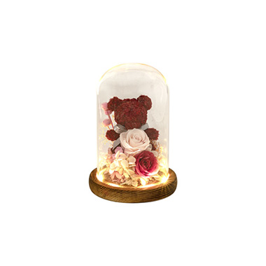 Dried & Preserved Roses - Preserved Rose Bear Hydrangea LED Cloche Red (12Wx20cmH)