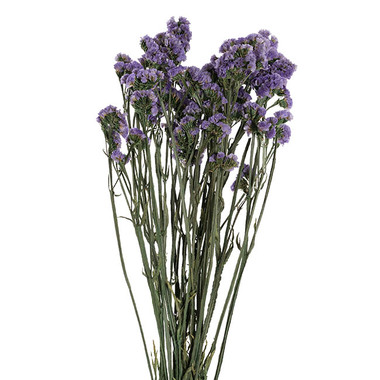 Dried Flowers - Preserved Dried Statice Sinuata Purple 120g (65cmH)