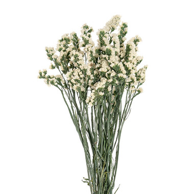 Dried Flowers - Preserved Dried Statice Sinuata White 120g (65cmH)