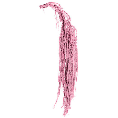 Dried Flowers - Preserved Dried Hanging Amaranthus 5 Stem Pink (60-100cmH)
