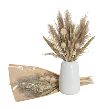 Other Dried & Preserved Flowers - Preserved Dried Mixed Flower Arrangement Beige (55cmH)