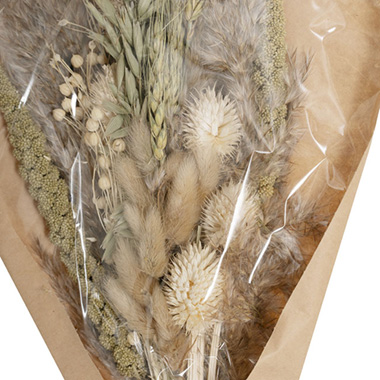 Preserved Dried Mixed Flower Arrangement Beige (55cmH)