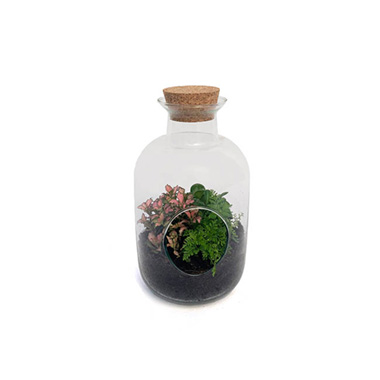 Fresh Indoor Plants - Fresh Glass Terrarium Mixed Plants Cork Lid & Hole (140mm)