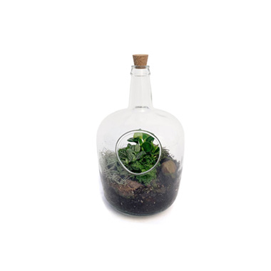 Fresh Indoor Plants - Fresh Glass Terrarium Drift Bottle Mixed Plants (220mm)