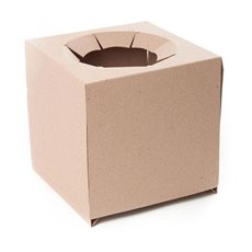Posie Flower Box Insert - Cardboard Insert For Tall Flat Pack Box