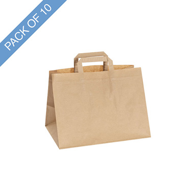Kraft Paper Carry Bags - Brown Kraft Paper Bag Boutique Pack 10 (320Wx215Gx245mmH)