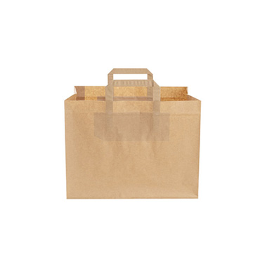 Brown Kraft Paper Bag Boutique Pack 10 (320Wx215Gx245mmH)