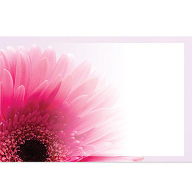 Florist Enclosure Cards - Cards Gerbera Pink with Border (10x6.5cmH) Pack 50
