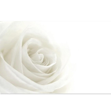 Florist Enclosure Cards - Cards Rose Open White (10x6.5cmH) Pack 50