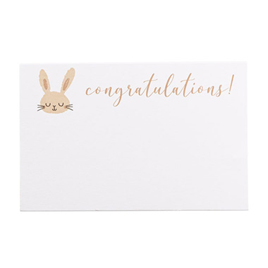 Florist Enclosure Cards - Cards White Congratulations Bunny Neutral (10x6.5cmH) Pk 50