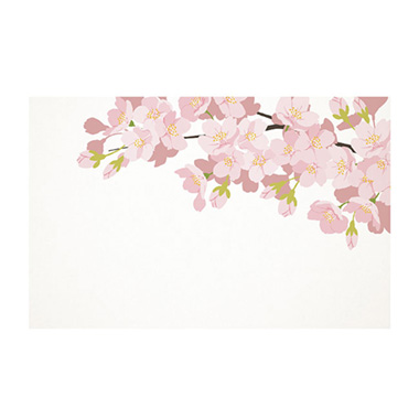 Florist Enclosure Cards - Cards White Cherry Blossom Branch (10x6.5cmH) Pk 50