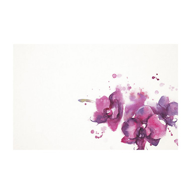 Florist Enclosure Cards - Cards White Phalaenopsis Deep Pink (10x6.5cmH) Pk 50