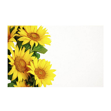 Florist Enclosure Cards - Cards White Sunflowers Yellow (10x6.5cmH) Pk 50