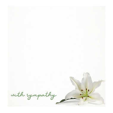 Florist Enclosure Cards - Cards White With Sympathy White Lily (10x10cmH) Pk 50