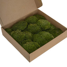Premium Preserved Mood Moss 600g Box Nature Green