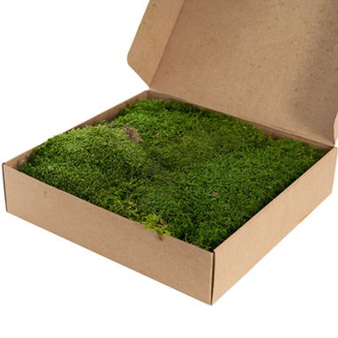 Premium Preserved Flat Moss 500g Box Green