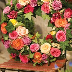 Design Master Flower Fragance Spray Rose (170g)