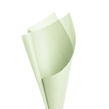 Embossed Paper - Embossed Paper Mint (50x70cm) Pack 50