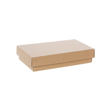 Hamper Boxes - Gourmet Box Rectangle Mini Brown Kraft (25x15x5.5cmH)