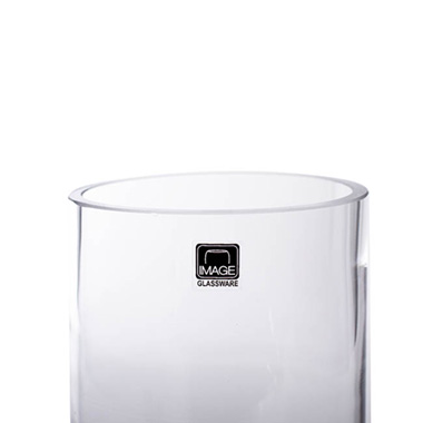 Glass Cylinder Vase Clear (10Dx15cmH)