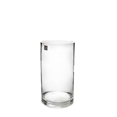 Glass Cylinder Vase Clear (10Dx20cmH)