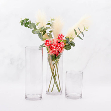 Glass Cylinder Vase Clear (10Dx15cmH) Promo
