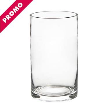 Glass Cylinder Vases - Glass Cylinder Vase Clear (15Dx25cmH) Promo