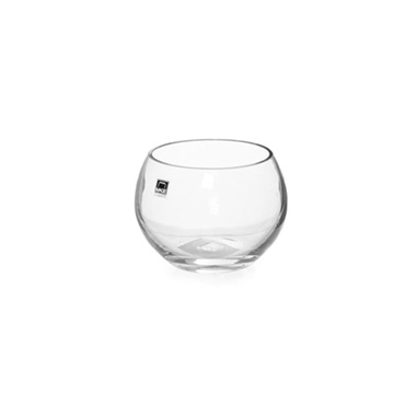 Fish Bowl Vases - Glass Fish Bowl 10cm Clear (8TDx12Dx9cmH)