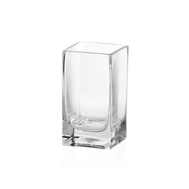 Glass Square Tank Vase 10cm Clear (10x10x15cmH)