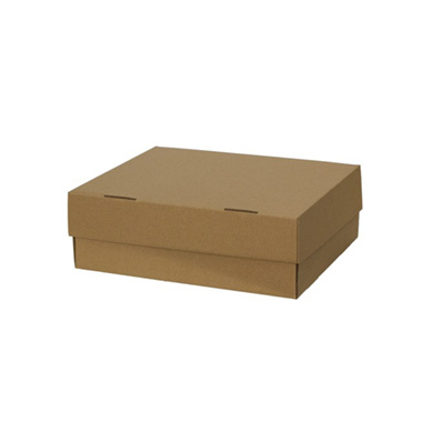  - Fruit Hamper Box Flat Pack Kraft (31x26x11cmH)