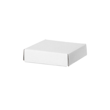 Gift Box With Lid - Posy Lid Mini Gloss White (14x14x3.5cmH)