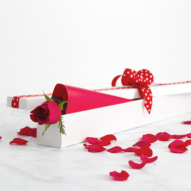 Premium Ribbed Rose Box Single White (74x8x8cmH)