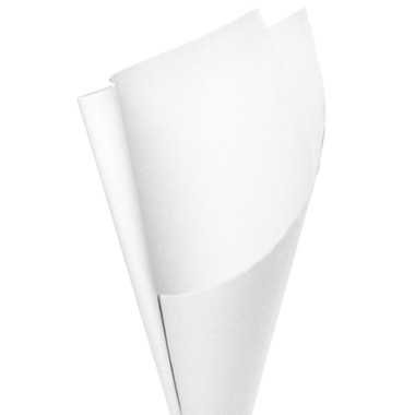 Brown & White Kraft Paper - Premium Kraft Paper 110gsm Pack 100 White (54x76cm)