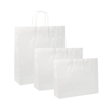 White Kraft Paper Bag Boutique Medium (220Wx80Gx180mmH)