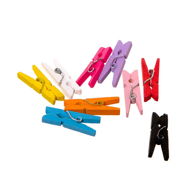 Wooden Peg Assorted Colours (25mm) Pack 50