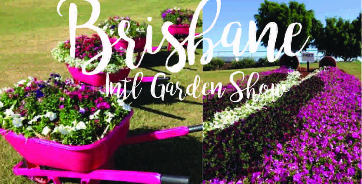 Brisbane Intl Garden Show Blog