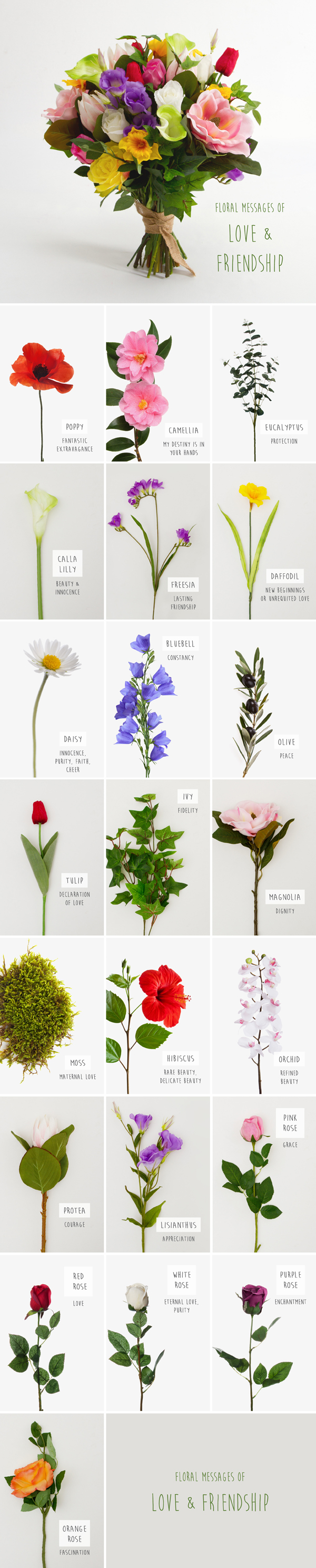 Floriography Chart of Flowers