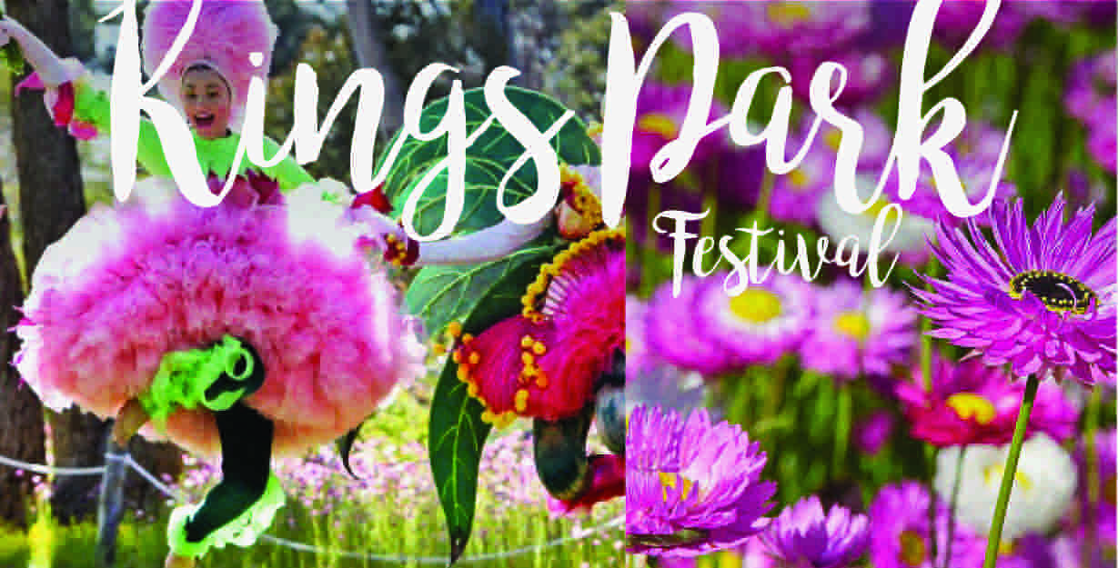 Kings Park Festival Blog