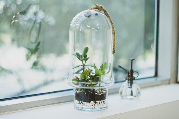 Make Your Own Terrarium - Final