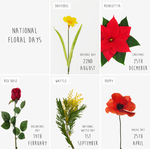 National Flower Days Koch & Co